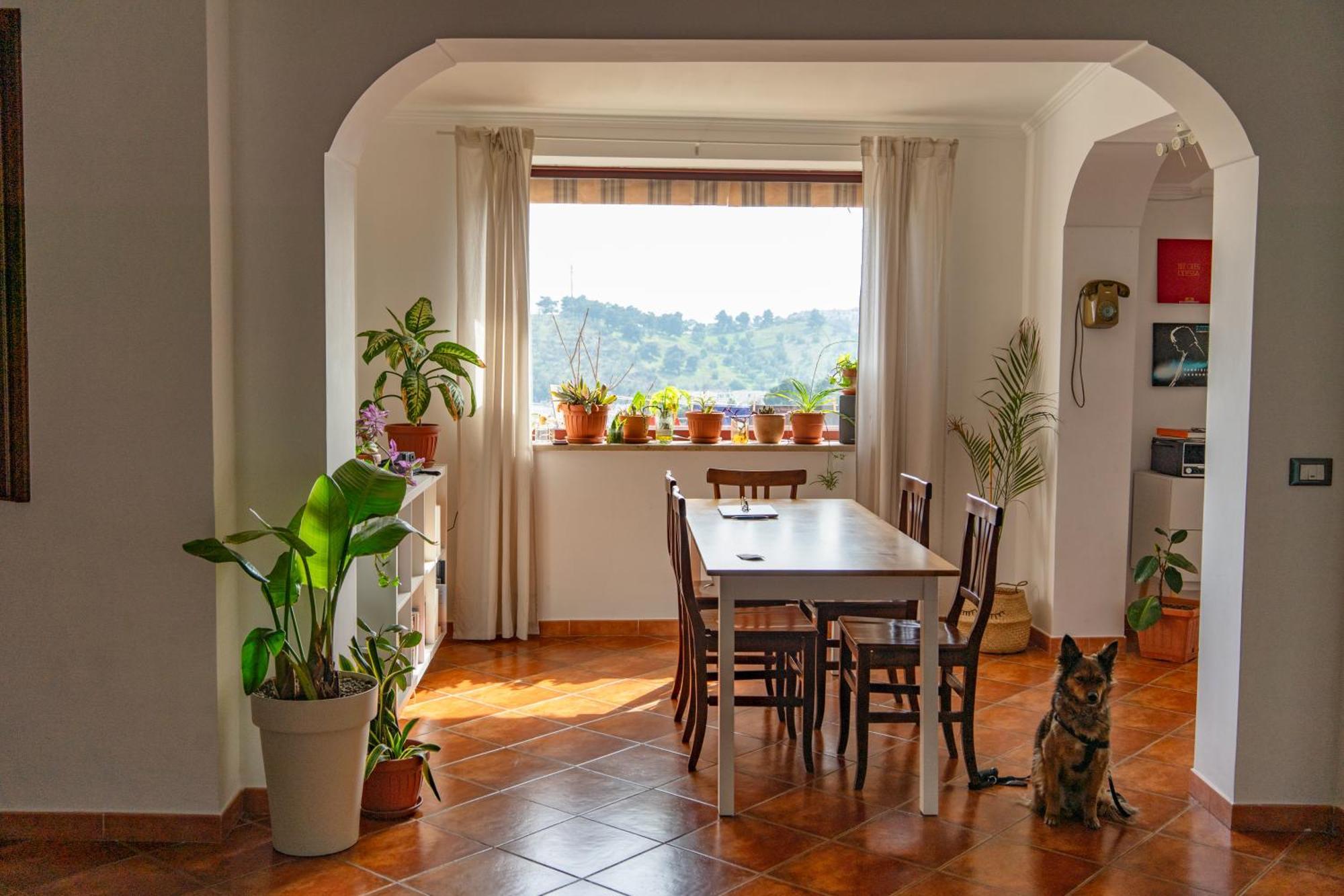 Coliving Together Gargano Vieste Exterior foto